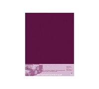 Clairefontaine Paquet 5 Feuilles Pastelmat 70x100 Cm 360g Lie De Vin