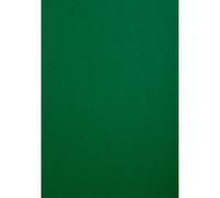 CLAIREFONTAINE Paquet de 100 couvertures Grain cuir pour reliure A4 - Vert foncé