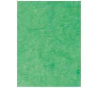 Clairefontaine Sac-Étui De 10 Feuilles De Papier Mûrier 65x95cm Vert Pomme