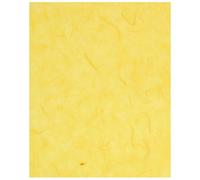 Clairefontaine Sac-Étui De 10 Feuilles, Papier Mûrier 65x95cm Citron
