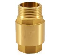 Clapet anti-retour 1 pouce, clapet anti-retour en laiton 1 pouce IG à AG, clapet anti-retour 1 pouce, clapet anti-retour pour évacuation des eaux usées pour conduite d'eau, chauffe-eau, en acier
