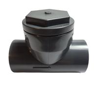 Clapet anti-retour à battant Ø 32 PVC Pression Piscine Eaux usées Eau Potable