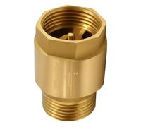 Clapet anti-retour en laiton 2,54 cm, clapet anti-retour 1 pouce AG vers IG, valve de retour 1", inoxydable et étanche pour pompe, jardin, machine à laver, tonneau