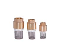 Clapet anti-retour en laiton à filetage femelle de 1/2" à 3" avec crépine à mailles - Clapet de pied durable for systèmes d'eau(1-1/2")