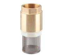 Clapet anti-retour en laiton G1 à sens unique avec filtre longueur 90 mm pour eau, gaz non corrosif