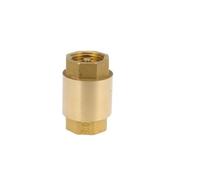 Clapet Anti-retour en Laiton pour Air et Eau en Ligne | Coupleur Anti-reflux Doré, Usage Commercial et Industriel, Raccord pour Conduites D’air ’eau