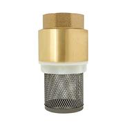 Clapet crepine anti retour 1/2 3/4 1 1-1/4 1-1/2 2 2-1/2 3 pouce - vanne non retour clapet anti-retour pompe (2-1/2 pouce)