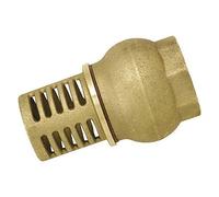 Clapet crépine BOUTTE 2103575