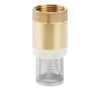Clapet de Pied 1" Avec Clapet Anti-retour, Clapet de Pied en Laiton, Avec Crépine en Acier Inoxydable pour Pompe