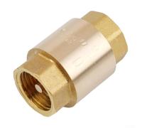 Clapet de retour en laiton 1" pour contrôle de l'eau, mécanisme anti-retour pour barils de pluie et pompes, conçu pour une performance fiable (1/2")