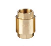 Clapets anti-retour 1 paire 1/2 pouces DN15 DN20 clapet femelle en laiton ligne ressort vertical(DN15)