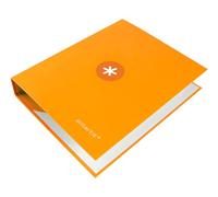 Classeur 4 anneaux 40 mm MIXTES LIDERPAPEL ANTARTIK A4 doublé couleur moutarde
