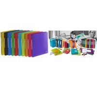 Classeur à anneaux ELBA "ELBA School Life", dans différentes couleurs DIN A4, 4 anneaux, PP largeur du dos : 20 mm, en plastique solide 30 pièces (400015030)