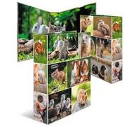 Classeur à levier 'Monde animal', Rongeurs