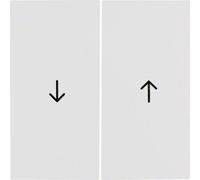 ouble Pour Stores Avec Flèches Imprimées Compatible Avec Différentes Séries De Hager Ip20 Couleur Blanc Polaire