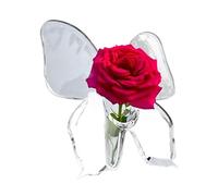 Clear Acrylic Vase, vase en forme de papillon, vase de fleurs décoratives, vases en acrylique, vase de fleurs en acrylique, pot de papillon, vase de fleurs acryliques, vases de fleurs acryliques,