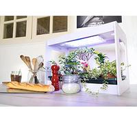 CLEOPATRE - CG1MV-1KC1 Kit Premium: kit Maison Verte Autonome avec LED HORTICOLE + Le Kit Recharge 1 Culture pour Le Cycle Scolaire 1