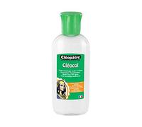 CLÉOPÂTRE Lot de 3 Colles Blanche Cléocol en 100g