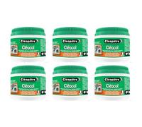 Cléopâtre Lot De 6 Cléocols Colle Blanche En Pot Large Ouverture 500 Gr