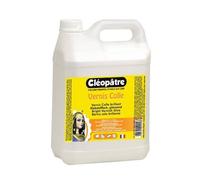Cléopâtre Vernis Colle Brillant En 5 Kg