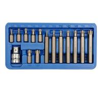 Clés Torx Spéciales T20-t55, Jeu De 15 / 66580 / Vorel