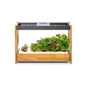 Click and Grow 25 : pot de fleurs intelligent, couleur noire