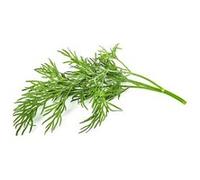 Click & Grow Aneth / 3-pack - Capsules d’aneth pour jardin d’intérieur intelligent G