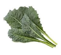 Click & Grow Chou kale italien / 3-pack - Capsules de chou vert pour jardin d’intérieur intelligent G