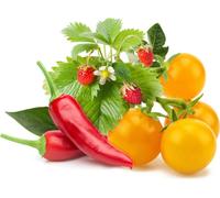 Click & Grow Click & Grow Plant Pod Fruit & Veggie Mix 9pcs