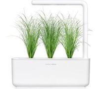 Herbe ornementale / 3-pack - Capsules décoratives pour jardin d'intérieur intelligent