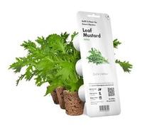 Click & Grow Moutarde feuille / 3-pack - Capsules de moutarde verte pour jardin d’intérieur intelligent G