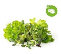 Click & Grow Click & Grow Plant Pod Steak Mix 9pcs
