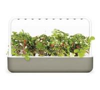 Click & Grow Click & Grow Smart Garden 9 home garden Beige