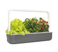 Click & Grow Smart Garden 9 Jardinière d'Intérieur, Gris Anthracite, 62 x 18,4 x 39.6 cm G
