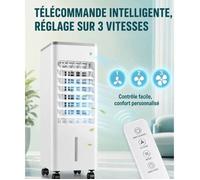 Climatiseur 3 en 1 Évaporatif Mobile 60W 10L 3 vitesses minuterie 4h télécommande roulettes 360° avec 4 pains de glace