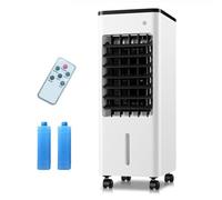 Climatiseur Évaporatif Mobile, Rafraîchisseur d'Air Silencieux 4 en 1, humidifier, Ionisé et Ventilateur, 3 Vitesses, 3 Modes, Réservoir 6L/12L, Minuterie 7.5 h, Télécommande(6L black)