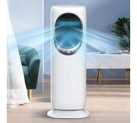 Climatiseur portable,ventilateur rafraîchissant et chauffant,Télécommande