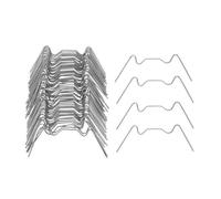 Clips De Glaçage Pour Serre En Acier Inoxydable, 100 Pièces, Type W, À Ressort À Feuilles, Pour Maison En Verre, Double Hall, Web
