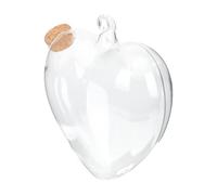 CLISPEED Bouteille à Souhaits Design Décoratif en Verre et Bois en Verre Transparent Suspendue Décor Paysager Maison