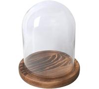 Cloche À Dôme En Verre, 2 Pièces De 5 10 Cm Diamètre, Décorative, Avec Plateau Base Bois, for Présentation Fleurs, Bricolage(10x13cm)