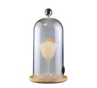 Cloche à Fumer pour Boissons Alimentaires, Accessoire pour Infuseur de Fumée de Cocktails, Couvercle en Dôme de Cloche à Fumer, Accessoire pour Pistolet à Fumer, Assiettes à (24cm)