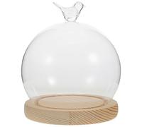 Cloche à Plantes en Verre, Dôme Rond avec Base Bois, DIY