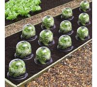 IDMarket - Cloche à salades x12 Serre de Protection pour Plants