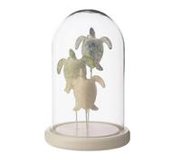 Cloche Déco en Verre Turtle 22cm Multicolore