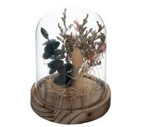 Cloche en Verre de Fleurs Séchées - SILUMEN - 17 cm - Rose - Blanc