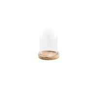 cloche verre sur support bois paulownia 10x13.7cm - 11858