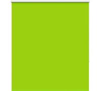 CLORIS Store d'obscurcissement Vert 120x130cm Largeur de tissu 116,6cm Polyester - Stores 4011236