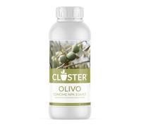 CLOSTER - Engrais Liquide pour Oliviers 1 Litre avec Azote, Cuivre, Phosphore et Potassium - Chélates de Fer pour Plantes Vertes d'Intérieur, Jardin et Potager, Spécial Oliviers 1 Litre