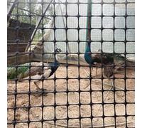 Clôture carrée en maille de paon, clôture jardin for poulets et lapins, sécurité légère plastique for patio, neige, animaux domestiques(1x50m/3.3x164ft)