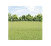 Vidaxl Set De Clôture Euro Pack De 2 Acier Galvanisé Grand Durable